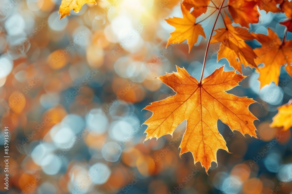 Fototapeta premium orange and golden autumn leaves against a blurry park in sunlight with beautiful bokeh. ai generative
