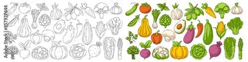 Vegetables colorful and line icons set. Farm veggies vector outline icon, monochrome and color illustration. Healthy nutrition, organic food, vegetarian product. Narrow horizontal banner, eco produce
