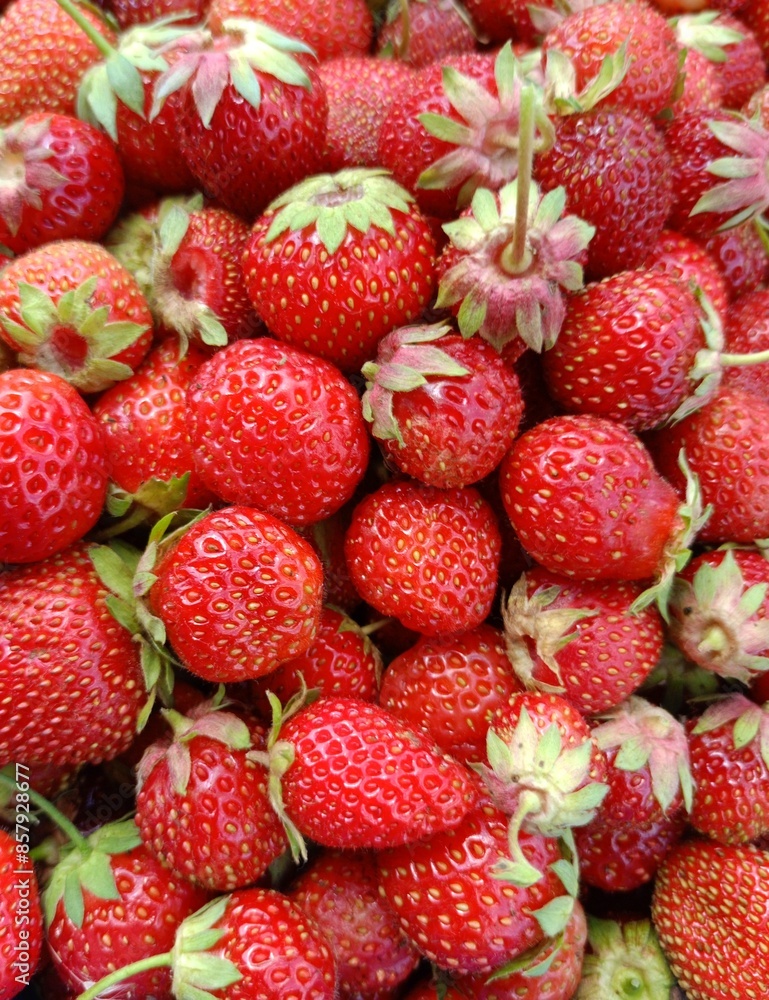 strawberries on a background strawberries on a background