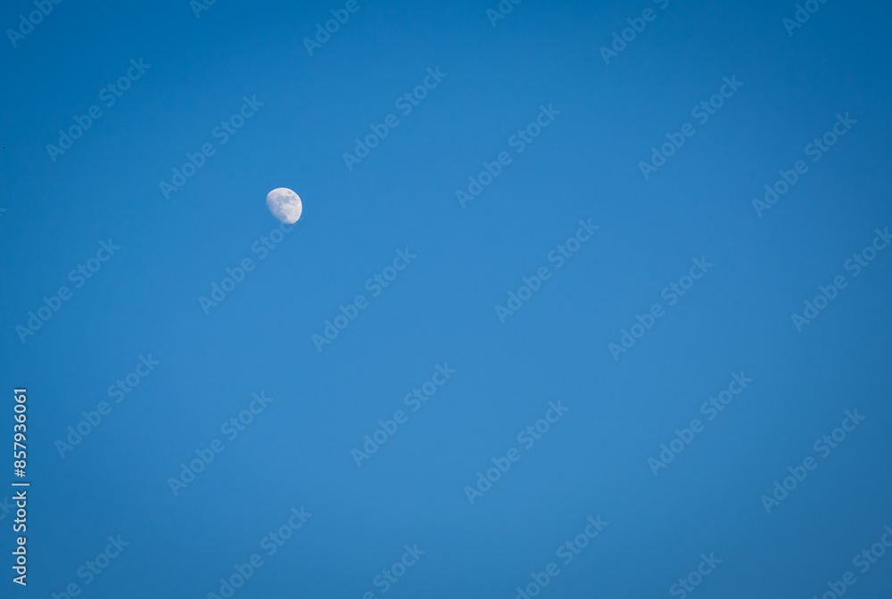 isolated moon in bright blue sky at evening isolated moon in bright blue sky at evening