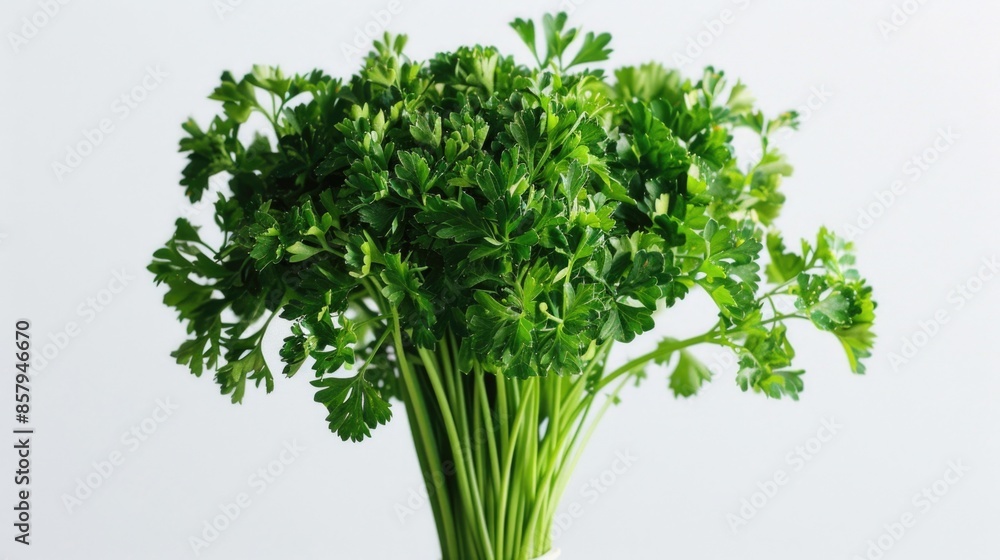Fresh parsley in a decorative vase on a table, perfect for still life photography or kitchen decor Fresh parsley in a decorative vase on a table, perfect for still life photography or kitchen decor