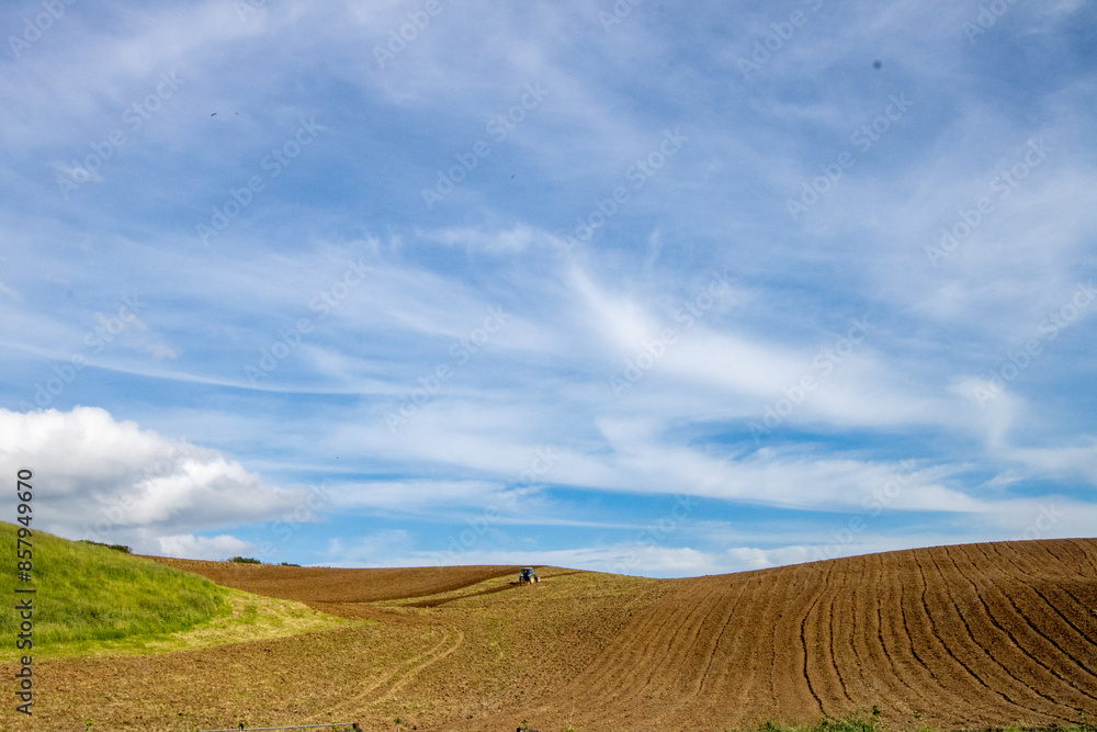 Agriculture fields, Plowed fields with a patch of green grass under a blue sky with wispy clouds Agriculture fields, Plowed fields with a patch of green grass under a blue sky with wispy clouds