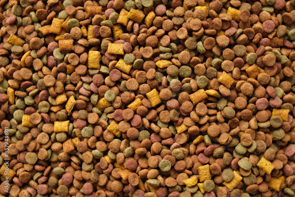 Pet Food Texture. Lot of Dry Granules of Crunchy Dog or Cat Food. Rotating Background. Animal Feed Pile. Fodder. Meal for Cats, Dogs. Filling. Daylight. Advertising. Pet Shop, Delivery. Healthy Treat Pet Food Texture. Lot of Dry Granules of Crunchy Dog or Cat Food. Rotating Background. Animal Feed Pile. Fodder. Meal for Cats, Dogs. Filling. Daylight. Advertising. Pet Shop, Delivery. Healthy Treat