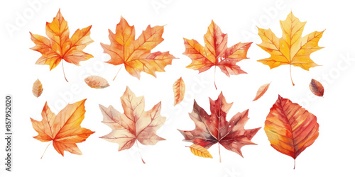 A set of watercolor autumn leaves isolated on a white background
