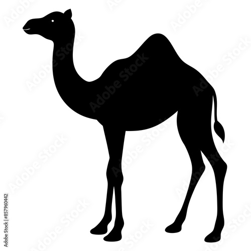 Camel Silhouette Vector Illustration
