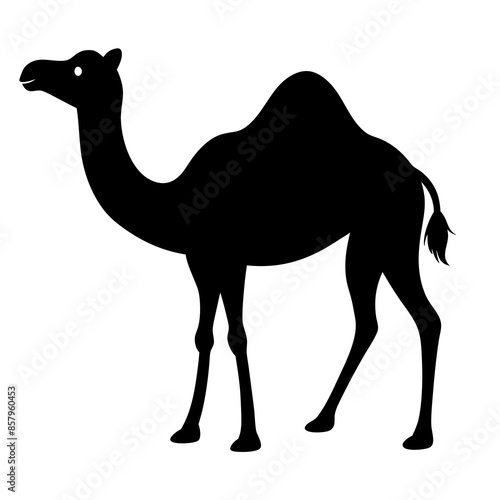 One Camel Silhouette Vector Illustration