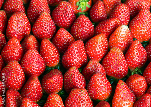 strawberries in the market