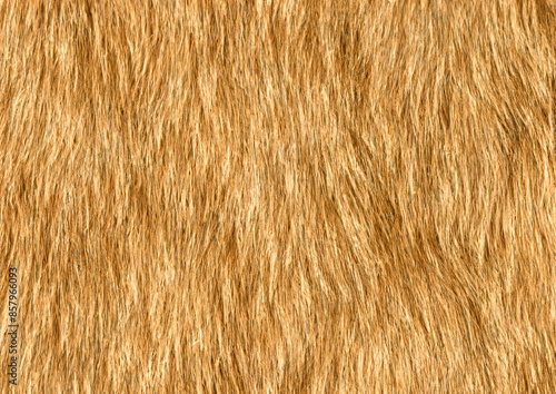 texture of fur