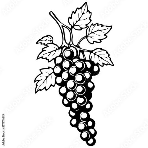 Drawing Fruit Pinot Noir Grape black hand drawn fruit illustration, transparent background