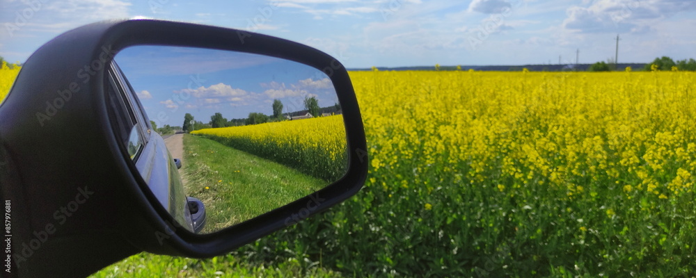 Beautiful green yellow field and blue sky in car mirror view at Sunny summer day. Car travel ecological tourism recreation