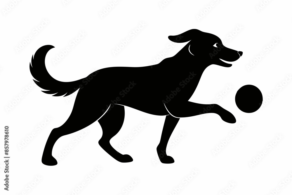 dog playing with a ball silhouette vector, isolated black silhouette of a dog collection
dog playing with a ball silhouette vector, isolated black silhouette of a dog collection