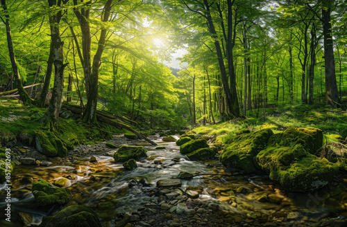 Beautiful forest with ancient trees and roots, green nature background. Landscape of old beech wood in the Spanish Basque mountains with stream. © Kien