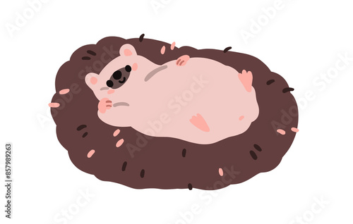 Cute hedgehog lying, relaxing. Funny adorable kawaii animal resting belly up. Happy lazy baby character, carefree relaxation. Childrens flat  illustration isolated on white background