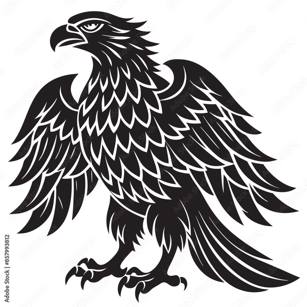 eagle vector illustration eagle vector illustration
