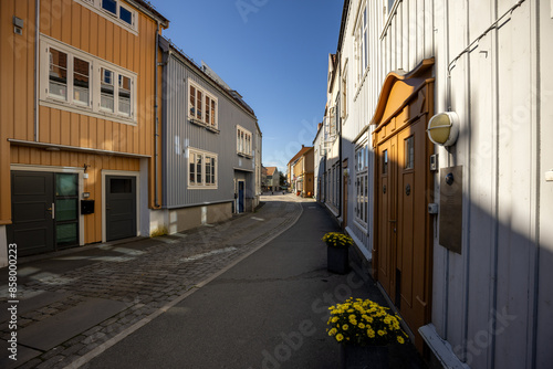Traditional Wooden Homes on a Cobblestone Street