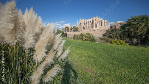 Catedral
