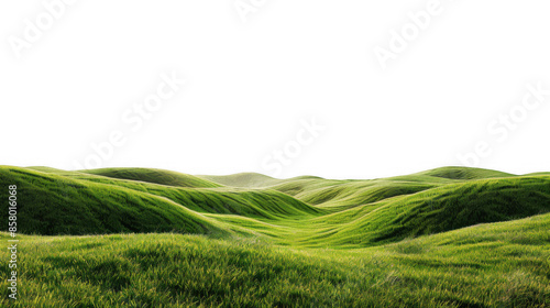 Tranquil Pond with Lily Pads
