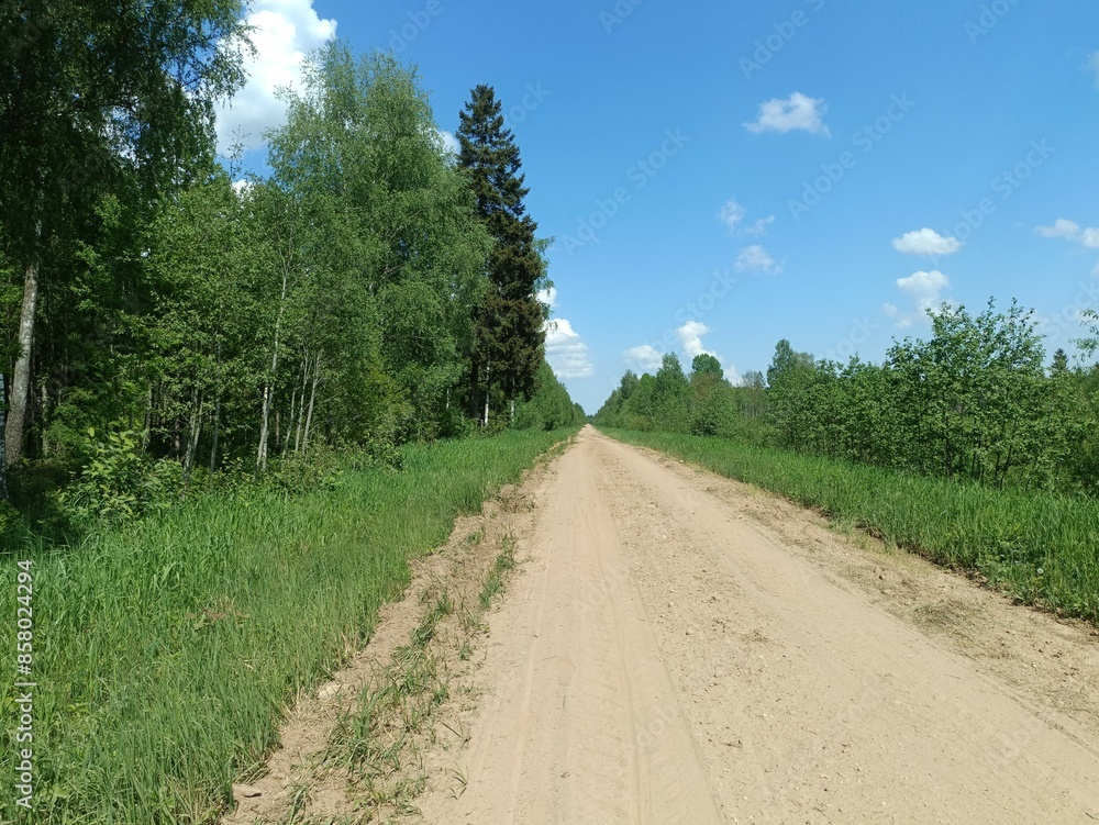 Road in forest in Siauliai county during sunny summer day. Oak and birch tree woodland. Sunny day with white clouds in blue sky. Bushes are growing in woods. Sandy road. Nature. Summer season. Miskas. Road in forest in Siauliai county during sunny summer day. Oak and birch tree woodland. Sunny day with white clouds in blue sky. Bushes are growing in woods. Sandy road. Nature. Summer season. Miskas.