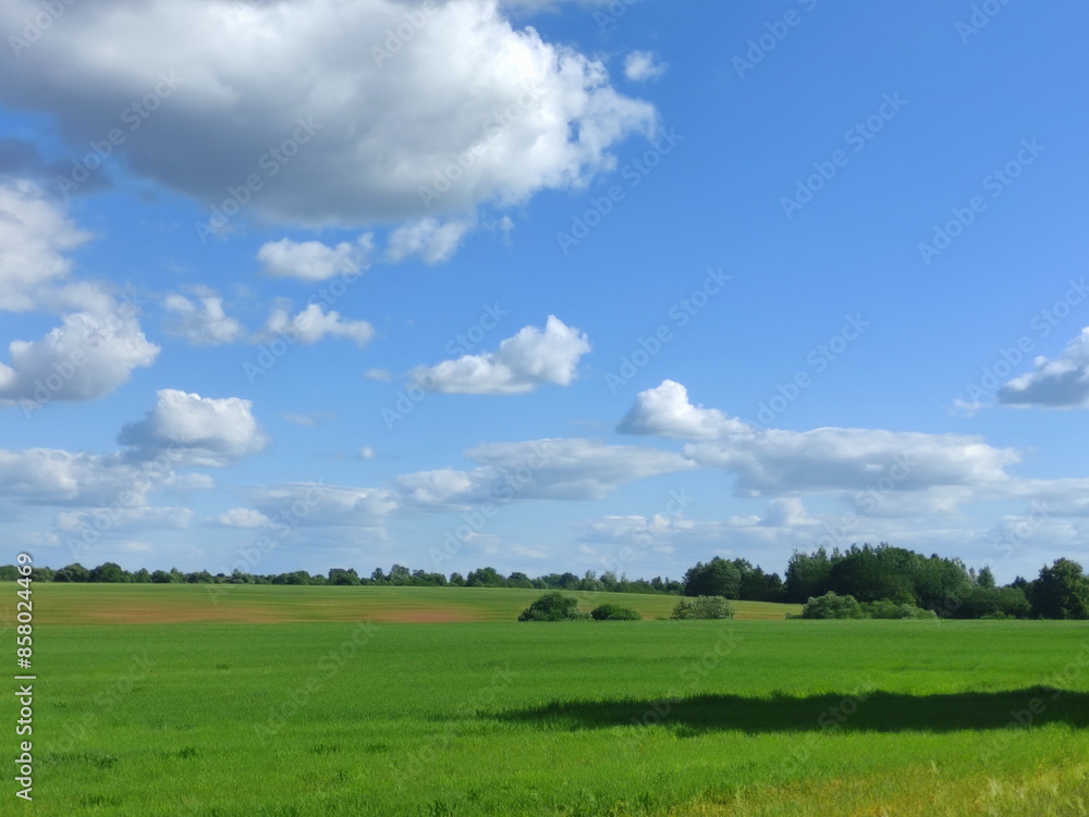 Beautiful European farming landscape with blue sky and green field at Sunny Summer day
