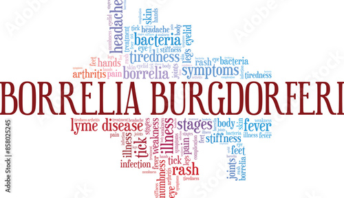 Lyme Disease: Borrelia Burgdorferi word cloud conceptual design isolated on white background.