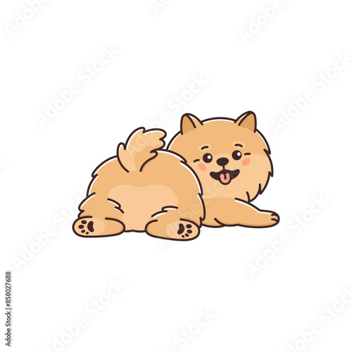 Cute Pomeranian spitz dog with lovely butt. Funny pet lying, back view. Small purebred puppy, animal Zwergspitz smiling. Vector illustration isolated on white background