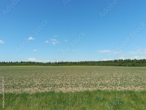 Field in somewhere. Countryside. Open field. Summertime. Unusual.