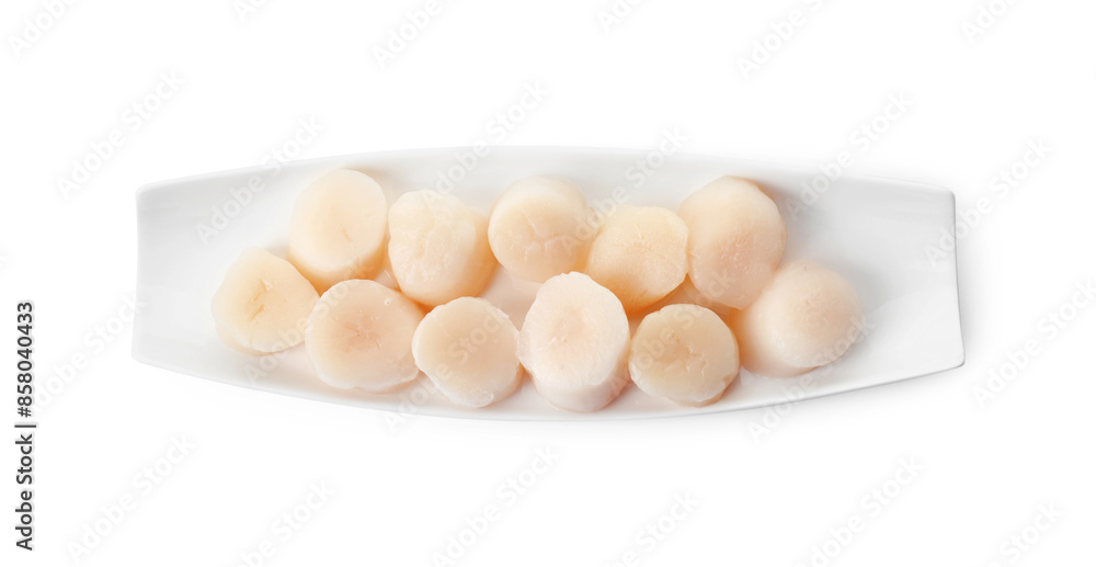 Fresh raw scallops isolated on white, top view Fresh raw scallops isolated on white, top view