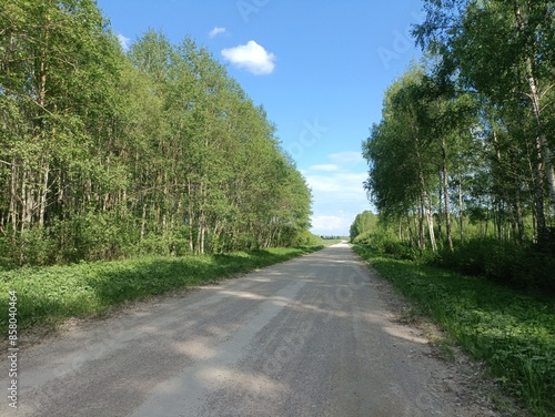 Road in forest in Siauliai county during sunny summer day. Oak and birch tree woodland. Sunny day with white clouds in blue sky. Bushes are growing in woods. Sandy road. Nature. Summer season. Miskas.