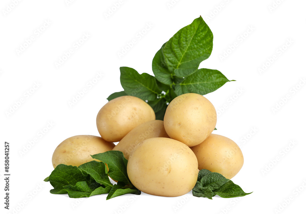 Fresh raw potatoes and green leaves isolated on white Fresh raw potatoes and green leaves isolated on white