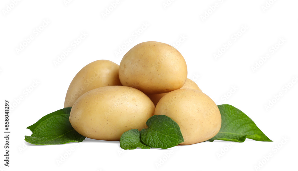 Fresh raw potatoes and green leaves isolated on white Fresh raw potatoes and green leaves isolated on white