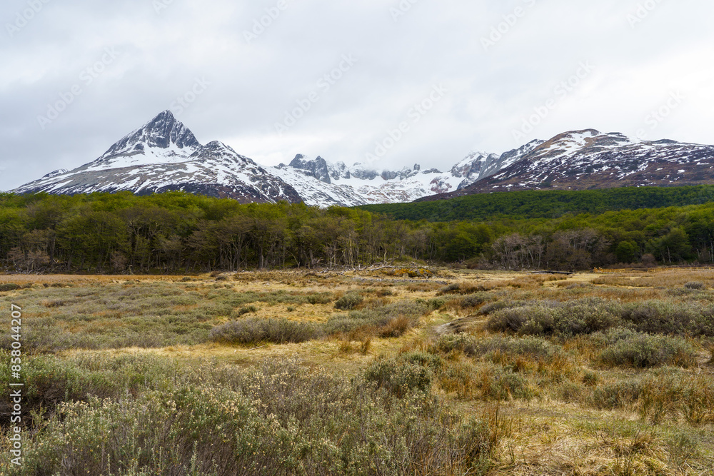 Fototapeta premium A valley with a background green forest and snow-capped Andes mountains on the way to Emerald Lake, Ushuaia - Argentina, Tierra del fuego