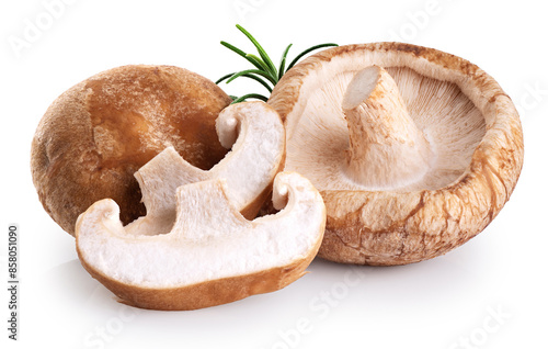 Shiitake mushrooms and mushroom pieces isolated on white background. With clipping path.