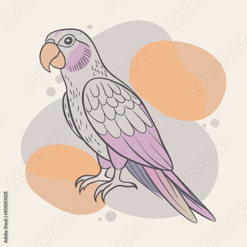 illustration of a parrot