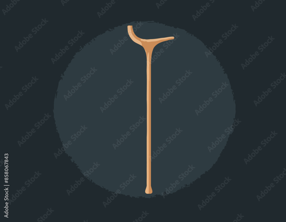 Elegant wooden walking stick, cane Elegant wooden walking stick, cane