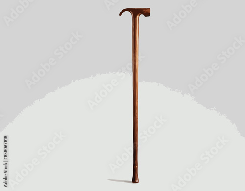 Elegant wooden walking stick, cane