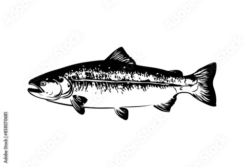 Salmon fish silhouette - cut out vector icon  Vector illustration.