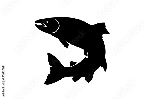 Salmon fish silhouette - cut out vector icon  Vector illustration.
