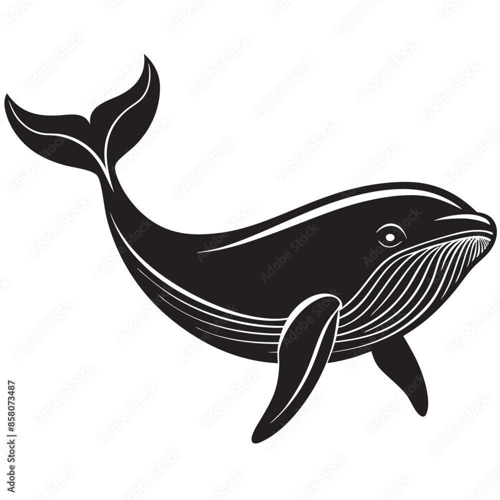 illustration of a cartoon whale illustration of a cartoon whale