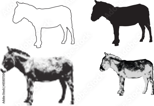 Different shapes of a donkey