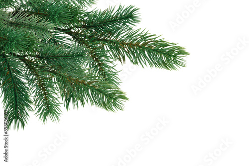 Christmas tree branch on corner border, pine branch on transparent background