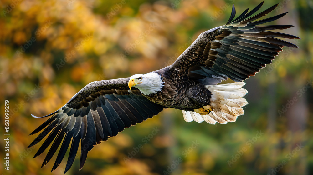 Obraz premium A white-headed eagle soars against the American flag, symbolizing America's independence day and national pride.