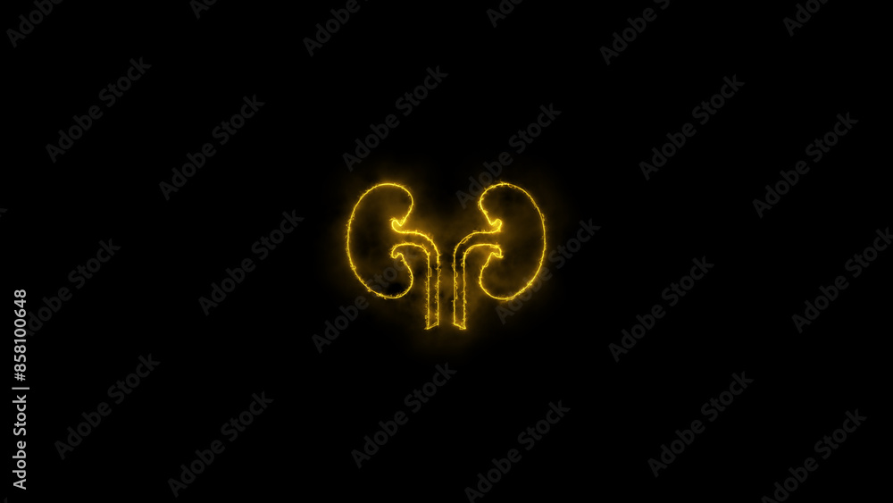 Glowing neon line Human kidney icon isolated on black background. Illustration of Medical Human Health Objects. Glowing neon line Human kidney icon isolated on black background. Illustration of Medical Human Health Objects.