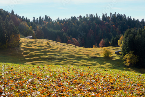 humpback meadow landscape, geomorphological feature. grassy undulations. near Garmisch photo