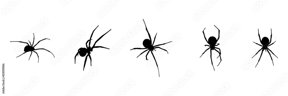 group spider silhouette illustration  background for a halloween day