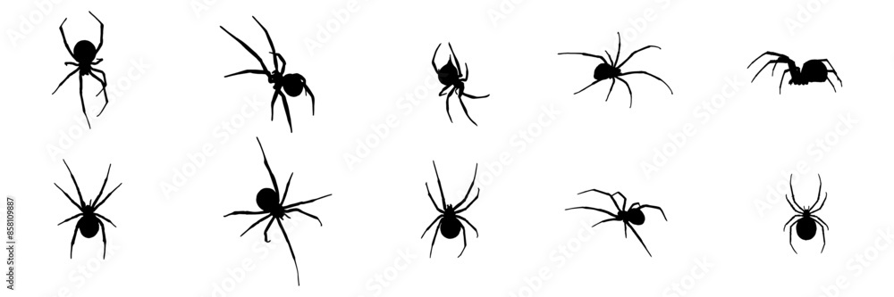 group spider silhouette illustration background for a halloween day group spider silhouette illustration background for a halloween day