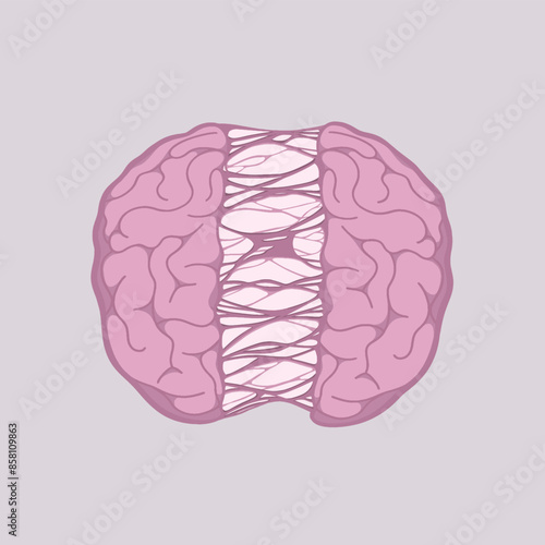 Ripped Brain Vector Cute Illustration