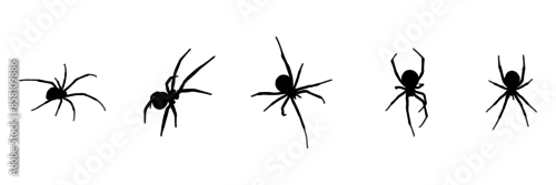 Obraz group spider silhouette illustration  background for a halloween day