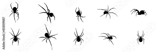 group spider silhouette illustration  background for a halloween day