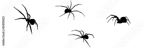 group spider silhouette illustration  background for a halloween day