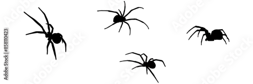 Obraz group spider silhouette illustration  background for a halloween day